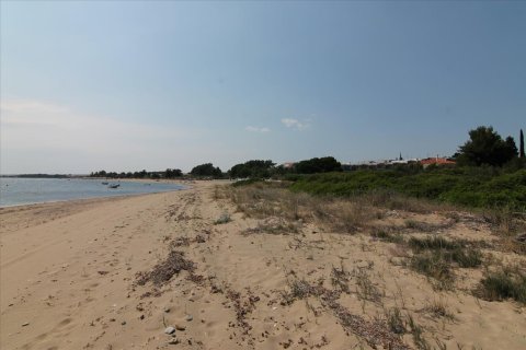 6974m² Land in Chalkidiki, Greece No. 59243 11