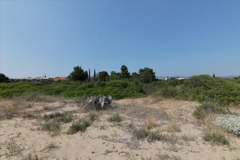 6974m² Land à Chalkidiki, Greece No. 59243 10