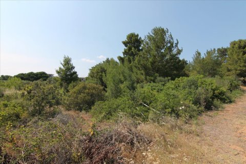 6974m² Land en Chalkidiki, Greece No. 59243 7