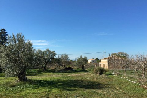 6458m² Land en Aegina, Greece No. 59247 6