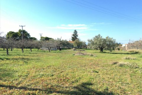 6458m² Land en Aegina, Greece No. 59247 7