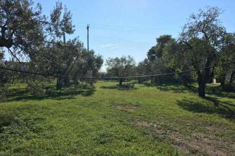 6458m² Land en Aegina, Greece No. 59247 3