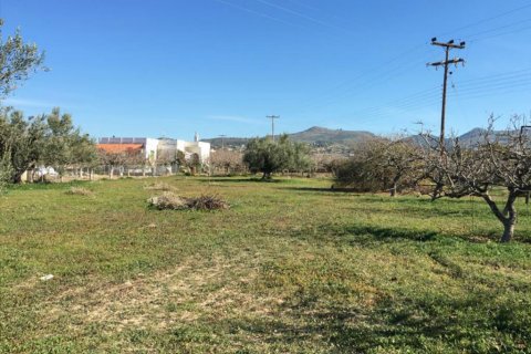 6458m² Land in Aegina, Greece No. 59247 8