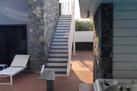 7 bedrooms Villa in Kolossi, Cyprus No. 66124 7