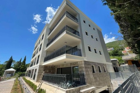 48m² Apartment in Herceg Novi, Montenegro No. 66783 13