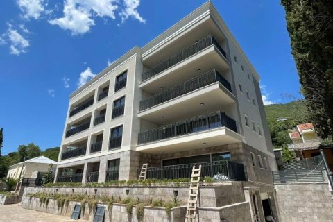 48m² Apartment in Herceg Novi, Montenegro No. 66783 1