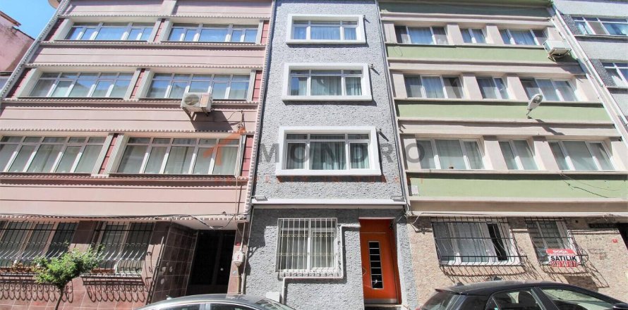 4+1 Villa in Fatih, Turkey No. 16919