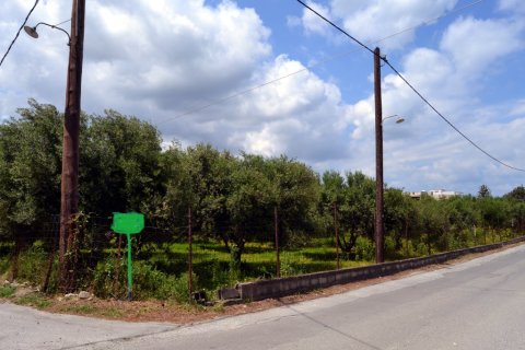 7000m² Land in Gazi, Greece No. 57407 2