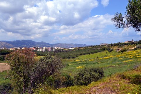 7000m² Land in Gazi, Greece No. 57407 1