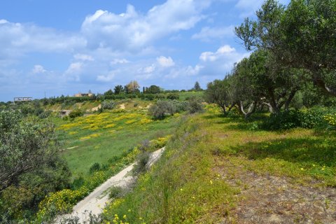 4700m² Land en Gazi, Greece No. 57402 3