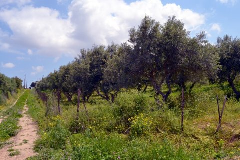 4700m² Land in Gazi, Greece No. 57402 2