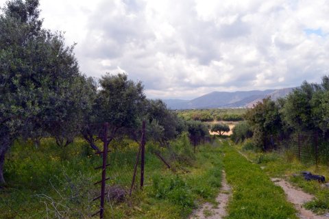 4500m² Land in Gazi, Greece No. 57406 1