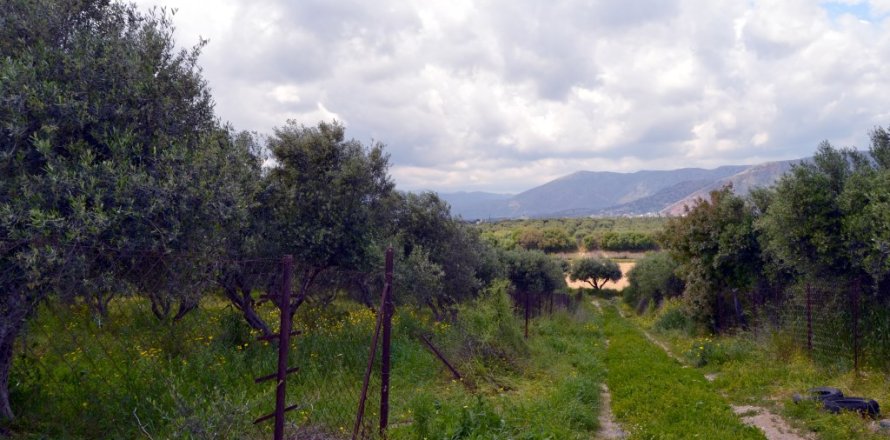 4500m² Land in Gazi, Greece No. 57406