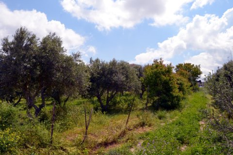 4500m² Land en Gazi, Greece No. 57406 5