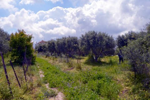 4500m² Land in Gazi, Greece No. 57406 4