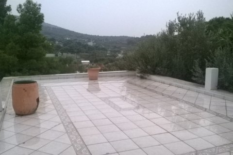 7 bedrooms Villa in Athens, Greece No. 50883 9