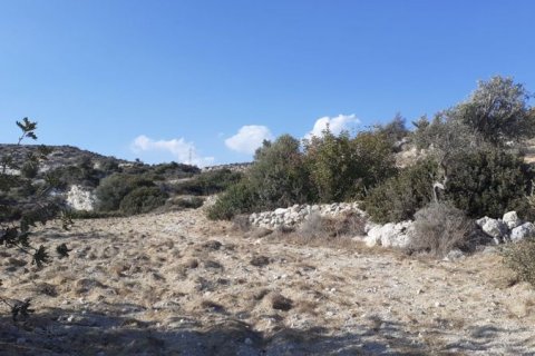 3595m² Land in Agios Tychonas, Cyprus No. 36980 3