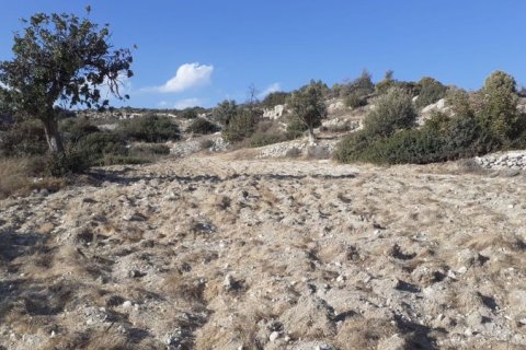 3595m² Land en Agios Tychonas, Cyprus No. 36980 6