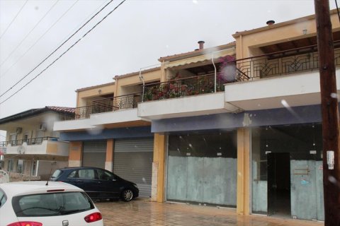 416m² Commercial property in Chalkidiki, Greece No. 47788 2