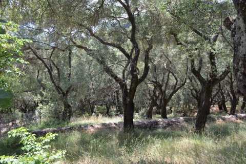 9500m² Land en Corfu, Greece No. 59647 4