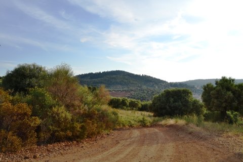 19000m² Land in Chalkidiki, Greece No. 59651 8