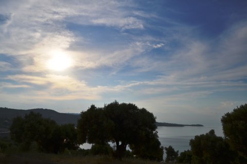 19000m² Land in Chalkidiki, Greece No. 59651 3