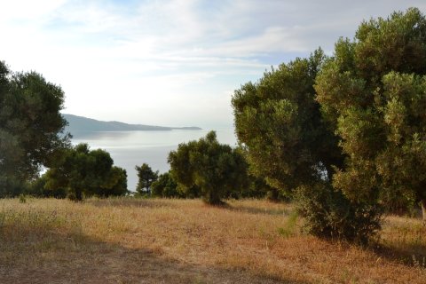 19000m² Land en Chalkidiki, Greece No. 59651 10