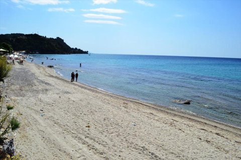 12500m² Land en Chalkidiki, Greece No. 59606 3