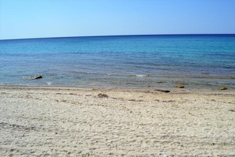 12500m² Land en Chalkidiki, Greece No. 59606 1