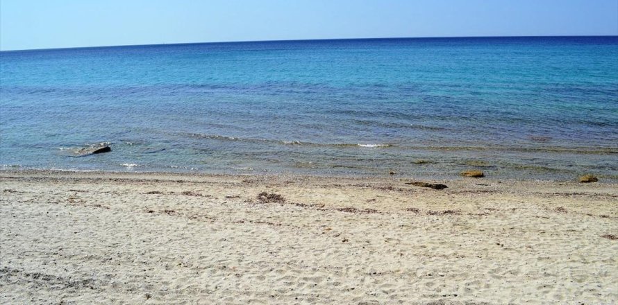 12500m² Land in Chalkidiki, Greece No. 59606