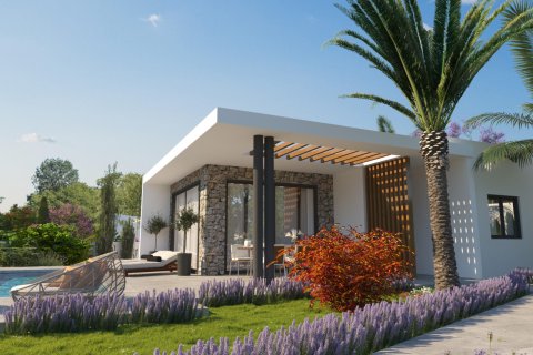 4 dormitorios House en Pegeia, Cyprus No. 37205 17