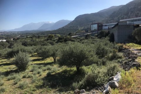 12400m² Land in Heraklion, Greece No. 56044 2