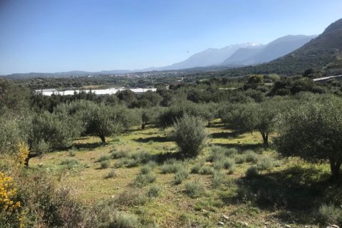 12400m² Land en Heraklion, Greece No. 56044 1