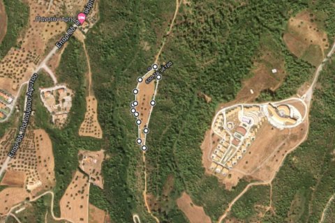 11650m² Land à Chalkidiki, Greece No. 56183 1