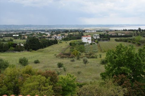 2 bedrooms Villa in Thessaloniki, Greece No. 50304 2