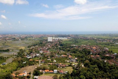 3 dormitorios Villa en Canggu, Indonesia No. 23146 8