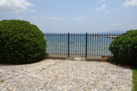 6 bedrooms Villa in Euboea, Greece No. 55264 4