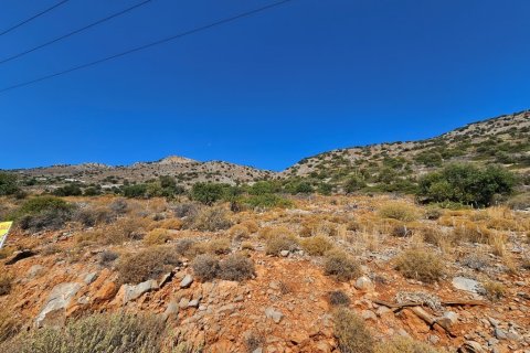 14549m² Land en Agios Nikolaos, Greece No. 55263 4