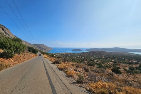 14549m² Land in Agios Nikolaos, Greece No. 55263 2