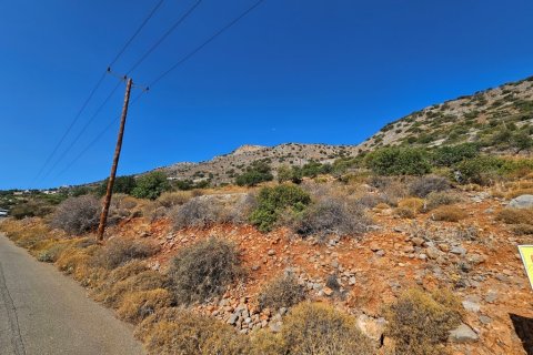 14549m² Land à Agios Nikolaos, Greece No. 55263 3