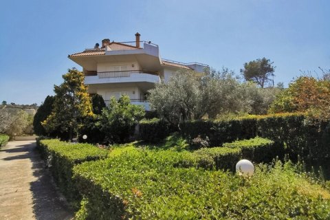 520m² House in Saronida, Greece No. 55266 1