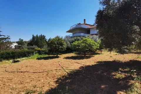 520m² House à Saronida, Greece No. 55266 6