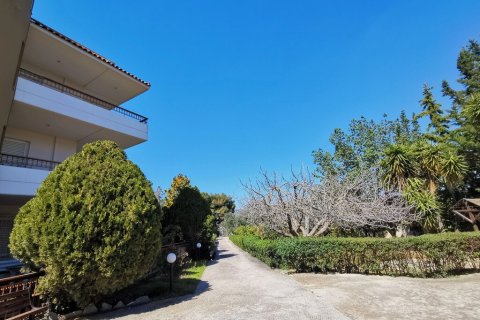 520m² House à Saronida, Greece No. 55266 7