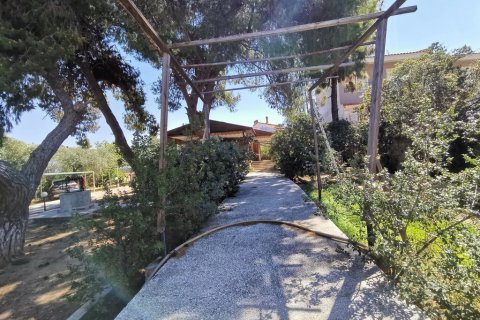 520m² House in Saronida, Greece No. 55266 4