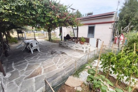 2 dormitorios House en Chalkidiki, Greece No. 54618 15