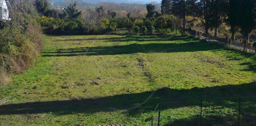 3000m² Land en Epirus, Greece No. 59602