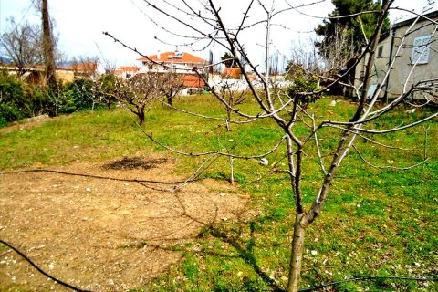 1800m² Land en Rodopoli, Greece No. 59604 1