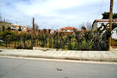 1800m² Land en Rodopoli, Greece No. 59604 2