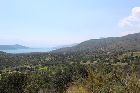 12000m² Land à Neapoli, Greece No. 57474 5