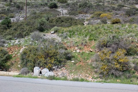 12000m² Land in Neapoli, Greece No. 57474 7